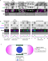 Fig 4: