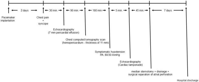 Fig. 6