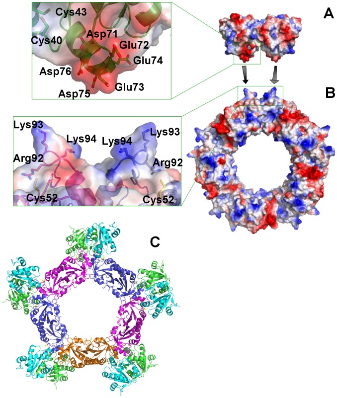 Figure 10