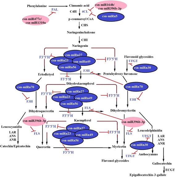 Fig. 8