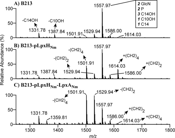 Figure 3.