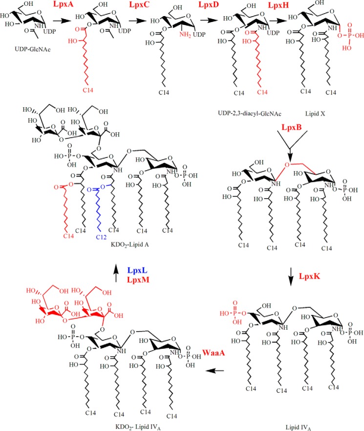 Figure 2.