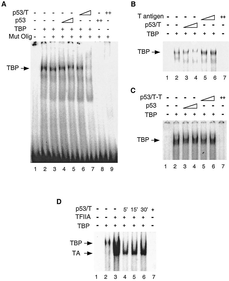 FIG. 6