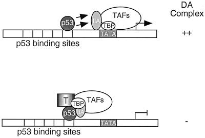 FIG. 7