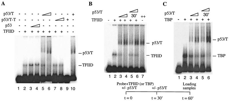 FIG. 5