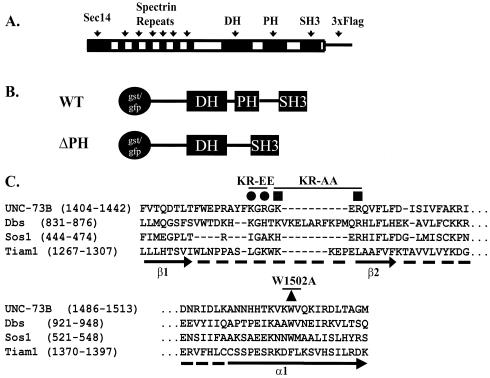 FIG. 2.