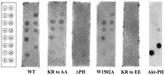 FIG. 3.