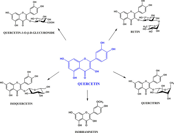 FIGURE 4