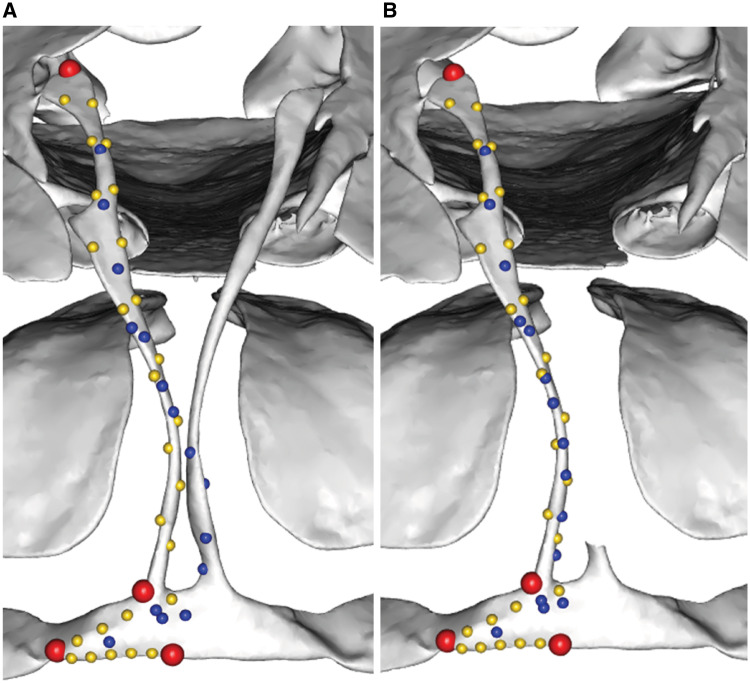 Fig. 24