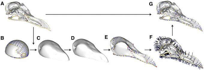 Fig. 20