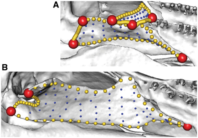 Fig. 15