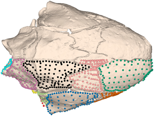 Fig. 29