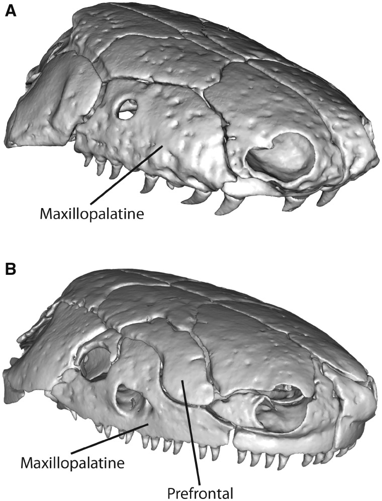 Fig. 9