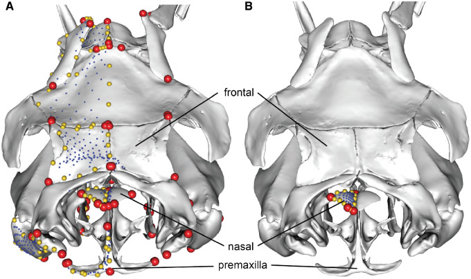 Fig. 25