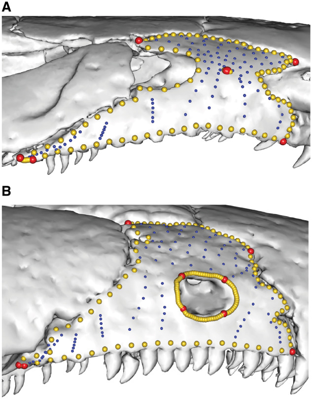 Fig. 12