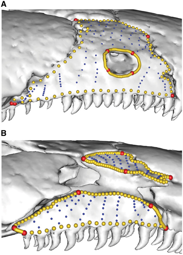 Fig. 16