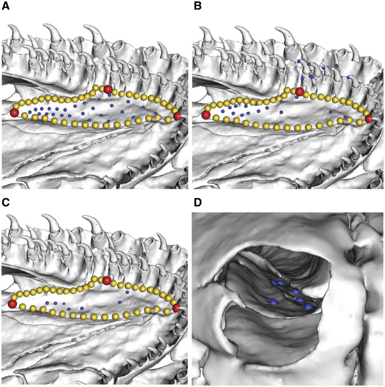 Fig. 22