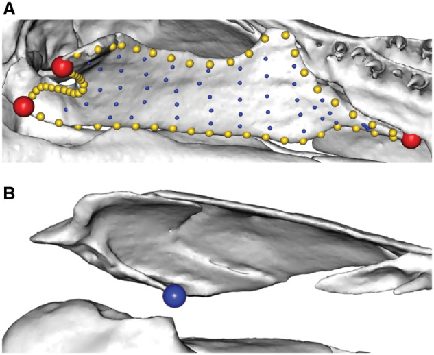 Fig. 10