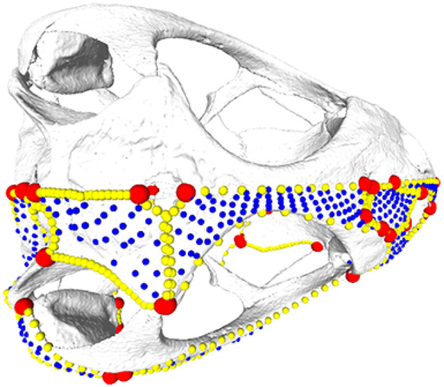 Fig. 2