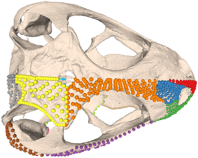 Fig. 30