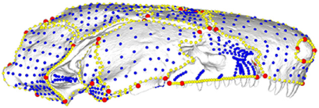 Fig. 1