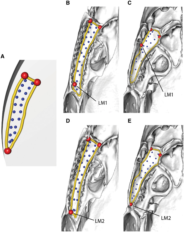 Fig. 13