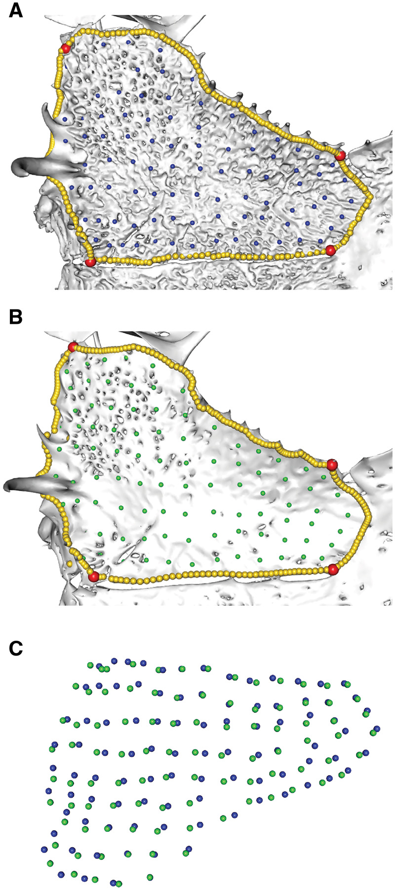 Fig. 8