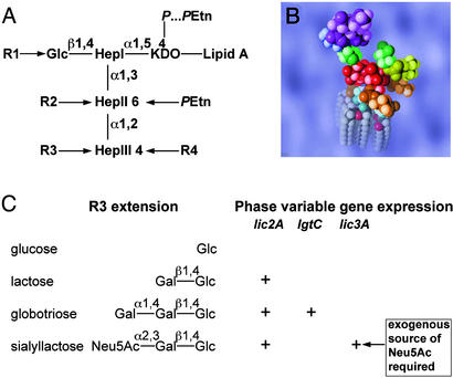 Fig. 3.