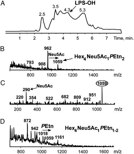 Fig. 5.