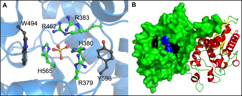 Figure 6.