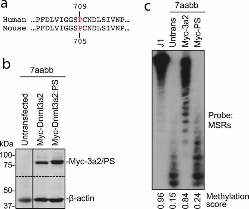 Figure 3.