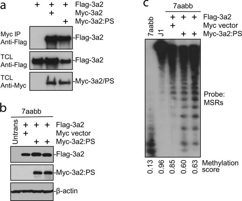 Figure 4.