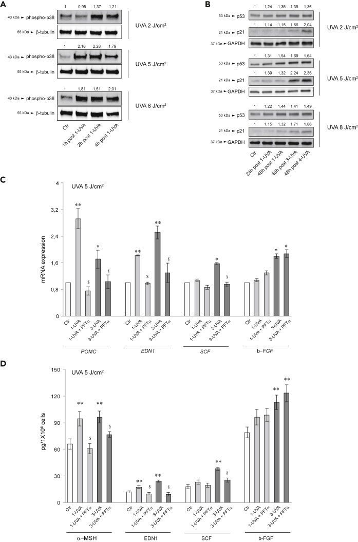 Figure 3