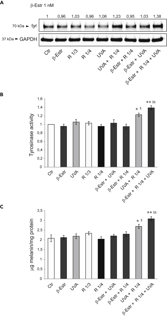 Figure 6