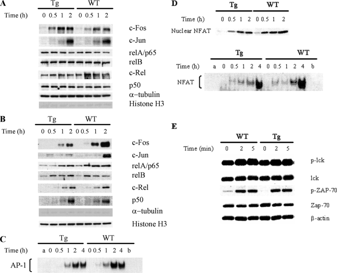 FIGURE 7.