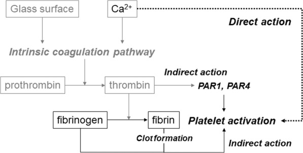 Fig. 8