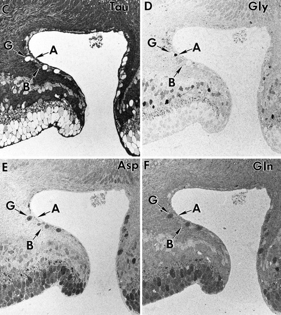 Fig. 10.