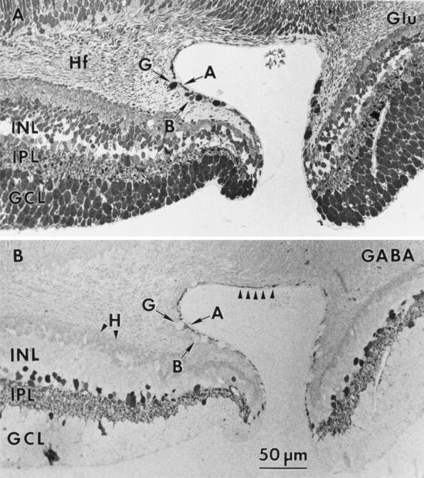 Fig. 10.