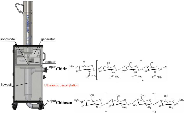 FIGURE 3