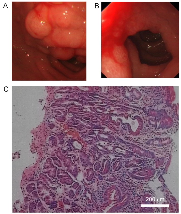 Figure 3.