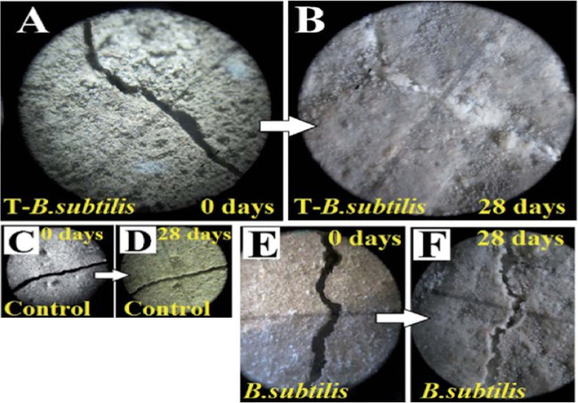 FIG 2