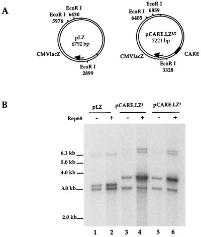 FIG. 3