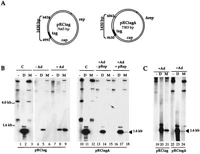 FIG. 1