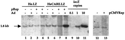 FIG. 5