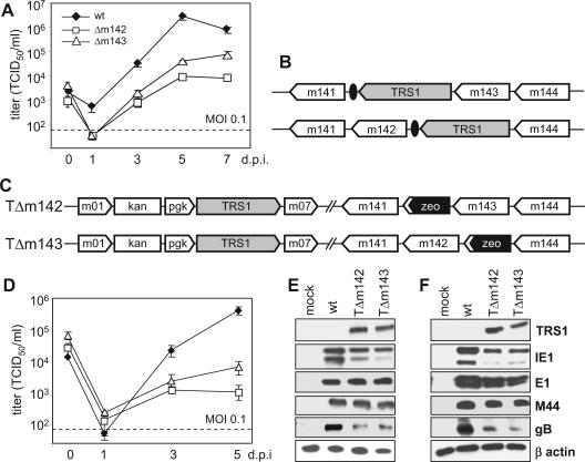 FIG. 8.