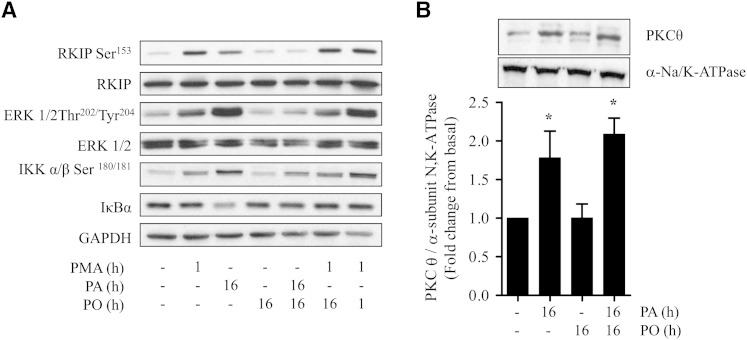 Fig. 5.