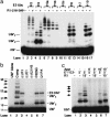 Fig. 2.