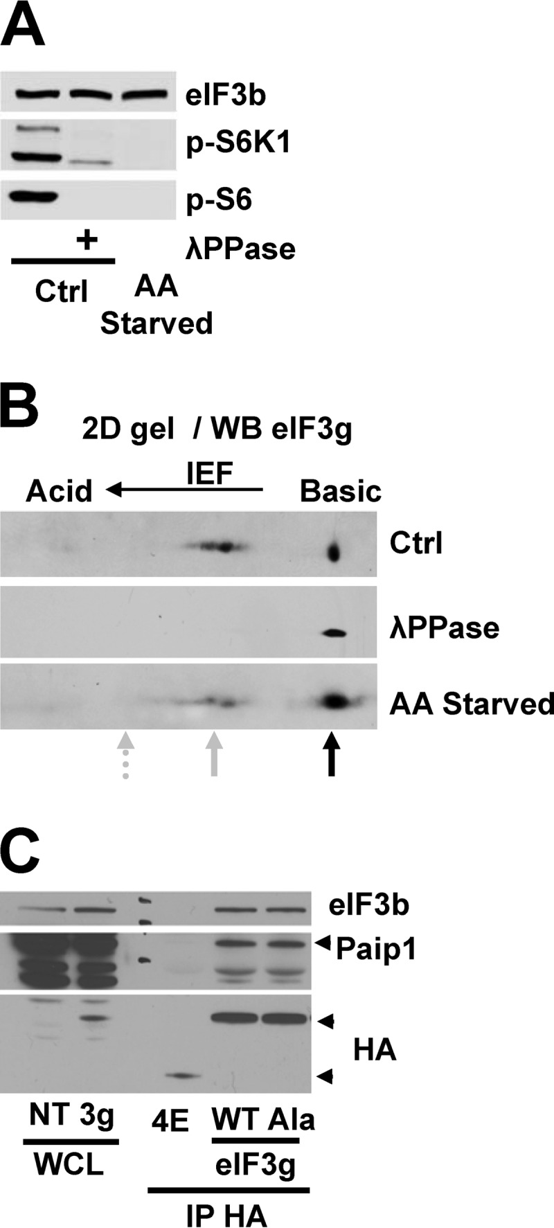 FIG 2