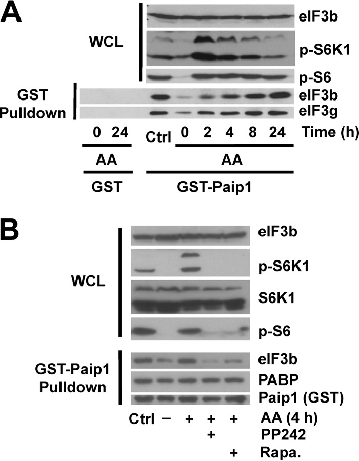 FIG 1