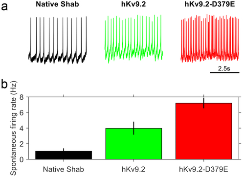 Fig. 6: